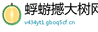 蜉蝣撼大树网
